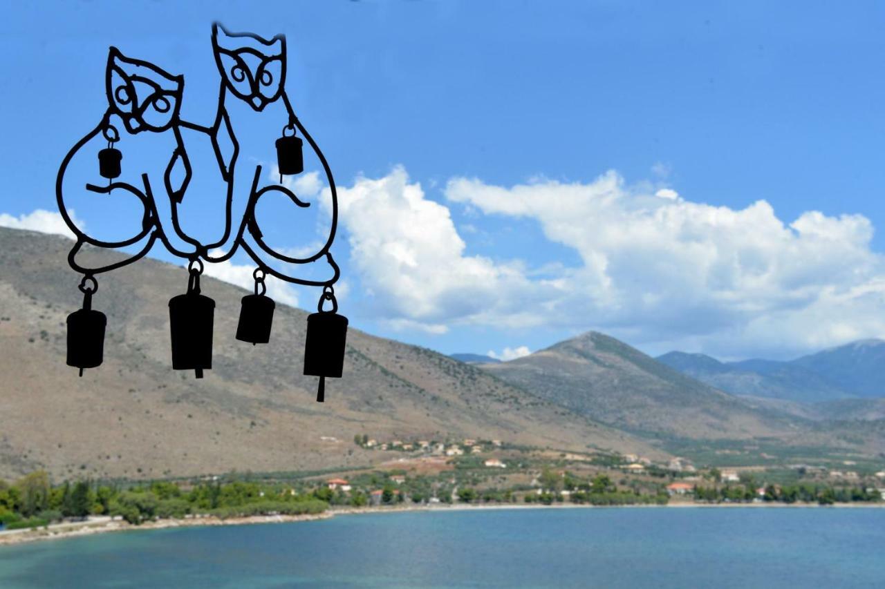 Galaxídhion Aphrodite'S Coast Retreat House! מראה חיצוני תמונה
