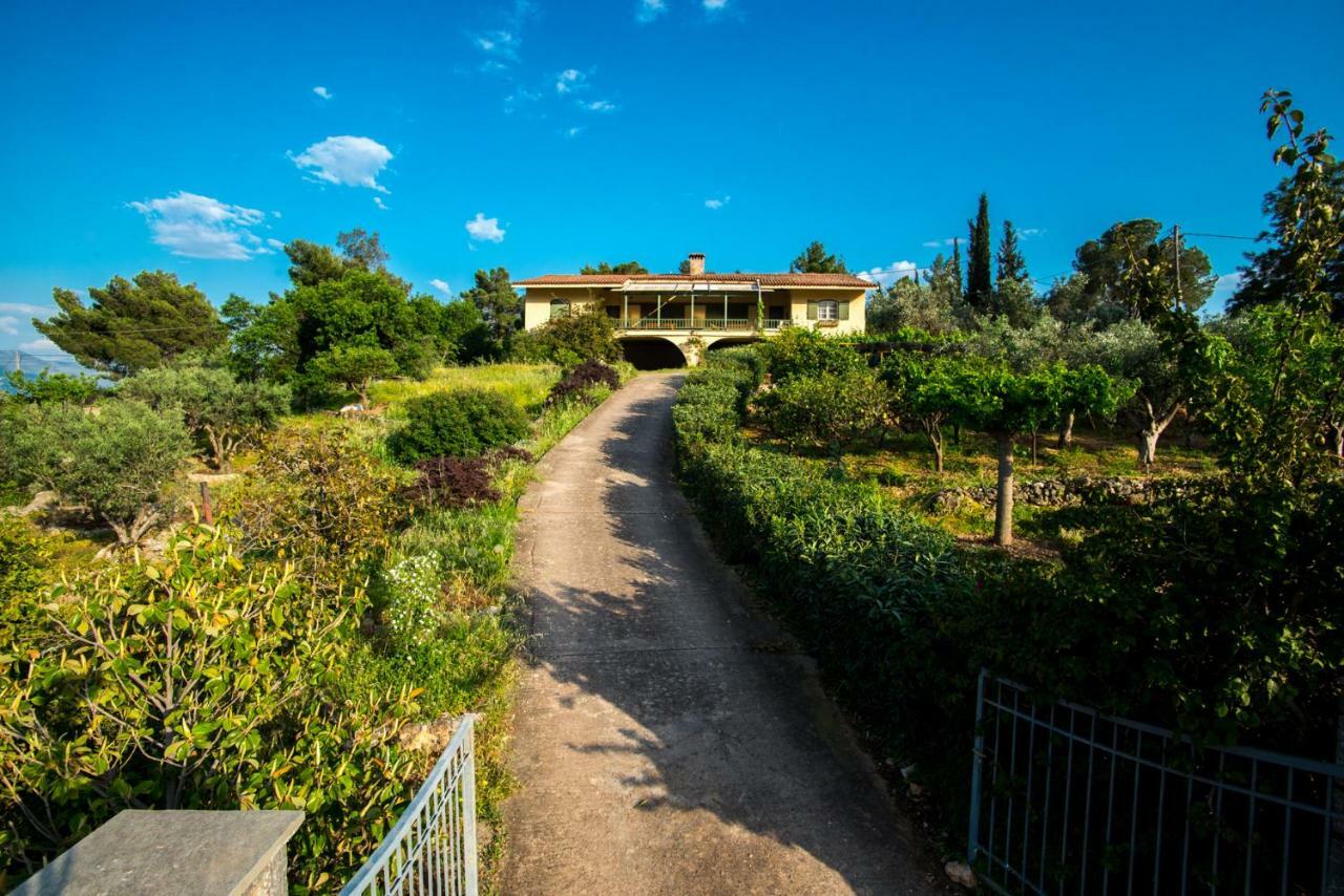 Galaxídhion Aphrodite'S Coast Retreat House! מראה חיצוני תמונה